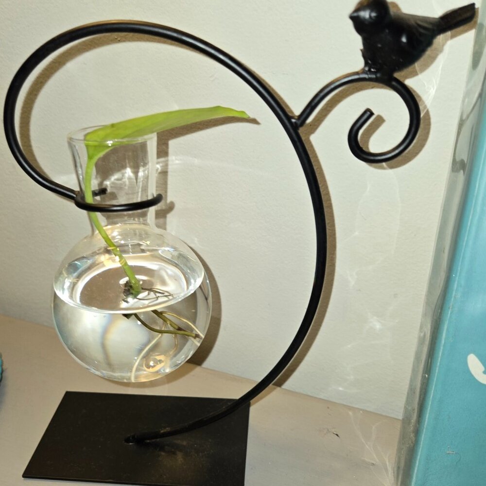 Plant holder